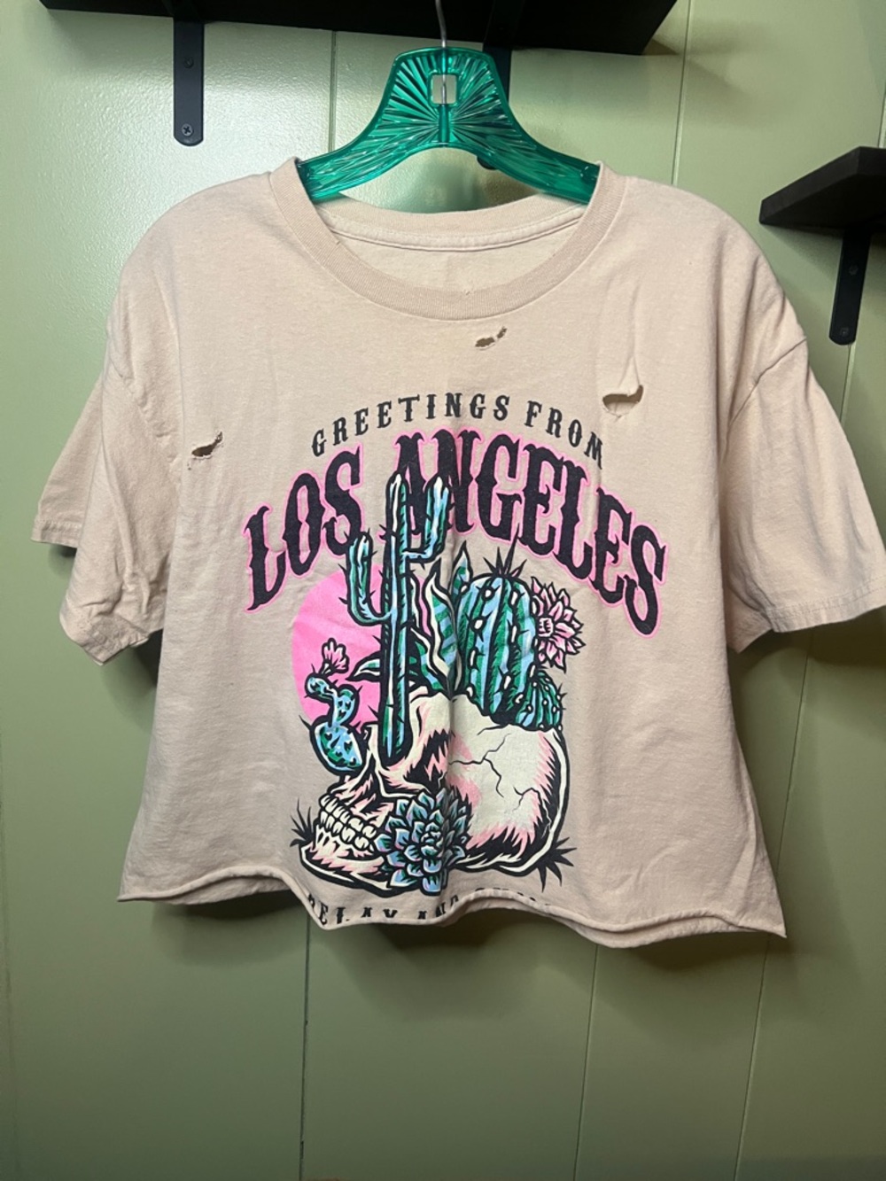 Los Angeles Cactus Graphic Crop Tee in Beige and Pink